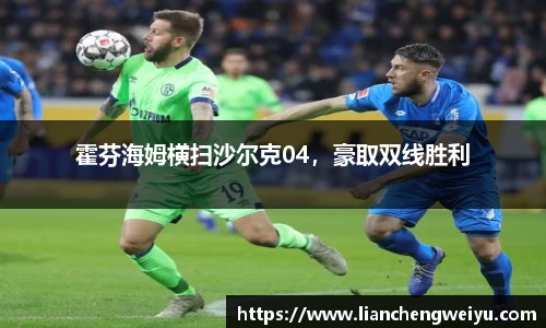 霍芬海姆横扫沙尔克04，豪取双线胜利